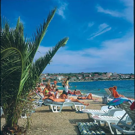 דירה Businci טרוגיר